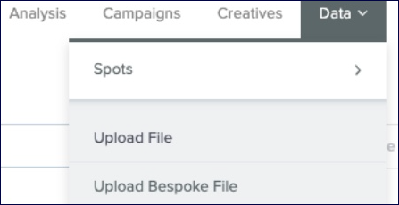 upload_bespoke_file.png